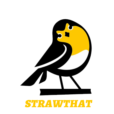 www.strawthatstays.com High-quality stainless steel straws for a better future